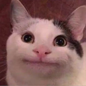 Meet your Posher, S n o w